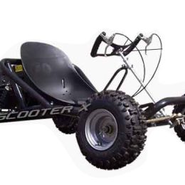 ScooterX 163cc Sport Kart Go Kart
