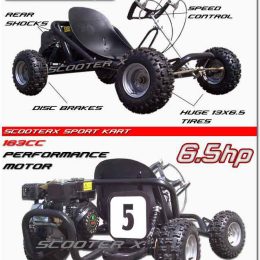 ScooterX 163cc Sport Kart Go Kart