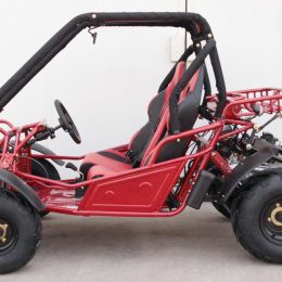 Kandi KD-150FS 150CC Go Kart