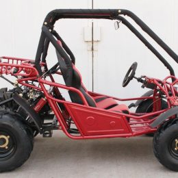 Kandi KD-150FS 150CC Go Kart
