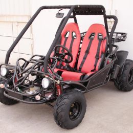 Kandi KD-150FS 150CC Go Kart