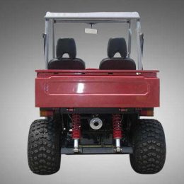Kandi KD-250GKD2 250CC (UTV)