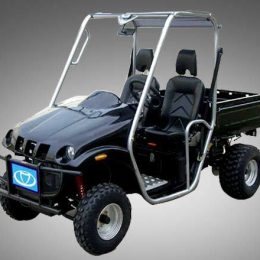 Kandi KD-250GKD2 250CC (UTV)