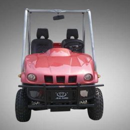 Kandi KD-250GKD2 250CC (UTV)