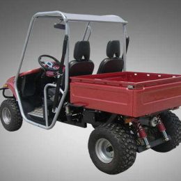 Kandi KD-250GKD2 250CC (UTV)