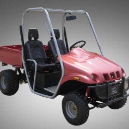 Kandi KD-250GKD2 250CC (UTV)