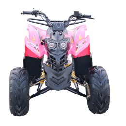 Kandi MDL-GA003-1 110CC ATV