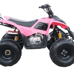 Kandi MDL-GA003-1 110CC ATV
