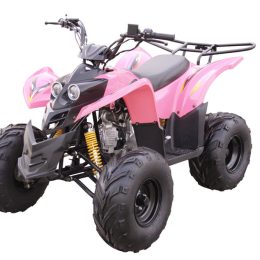 Kandi MDL-GA003-1 110CC ATV