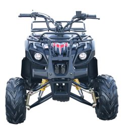 Kandi MDL-GA003-2 110CC ATV