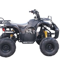Kandi MDL-GA003-2 110CC ATV