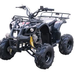 Kandi MDL-GA003-2 110CC ATV