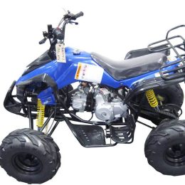 Kandi MDL-GA004-3 110CC ATV