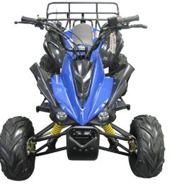 Kandi MDL-GA004-3 110CC ATV