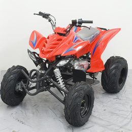 Kandi MDL-GA008-2 150CC ATV