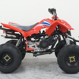 Kandi MDL-GA008-2 150CC ATV