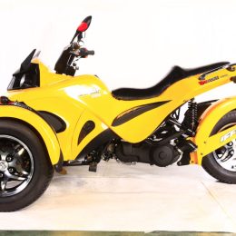 Kandi Cyclone 250CC Trike Motorcycle