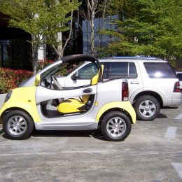 Kandi COCO Convertible Electric Car (KD08E)