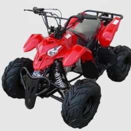 Kandi MDL-GA002-5 110CC ATV