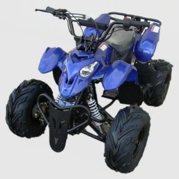 Kandi MDL-GA002-5 110CC ATV