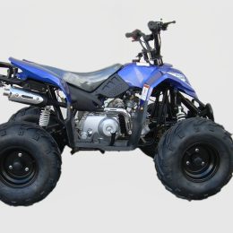 Kandi MDL-GA002-5 110CC ATV