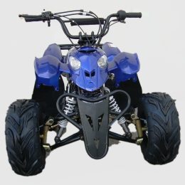 Kandi MDL-GA002-5 110CC ATV