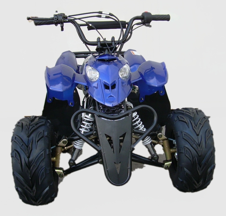 Kandi MDL-GA002-5 110CC ATV | My Go Karts