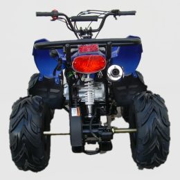Kandi MDL-GA002-5 110CC ATV
