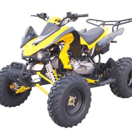 Kandi MDL-GA019-2 150CC ATV