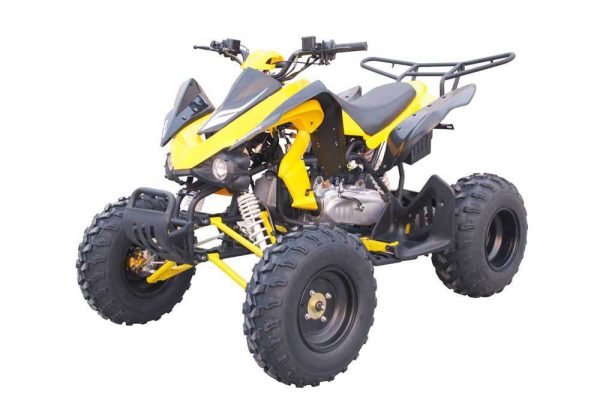 Electric Vehicle, ATV/Quad, Buggy/Go Kart products from 