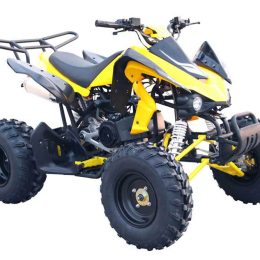 Kandi MDL-GA019-2 150CC ATV
