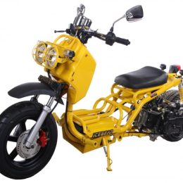 Maddog 50cc Custom Mopeds1