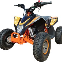 RPS MADIX-21 | Full Auto ATV (Ships Assembled)