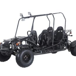 TaoTao/Tao Motor 4FUN 200 | Full Auto Go Kart