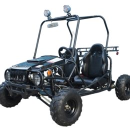 TaoTao/Tao Motor Jeep Auto | 16" Tires, Full Auto Go Kart