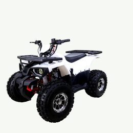 TaoTao/Tao Motor Raptor | CA Legal | 19"/18" Tires, Full Auto ATV