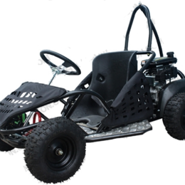 TaoTao/Tao Motor GK80 Prowler | CA Legal | 13" Wheels, Full Auto Go Kart