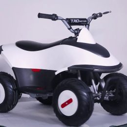 TaoTao/Tao Motor Rover 350 | 12" Tires, 350W 24V Electric ATV